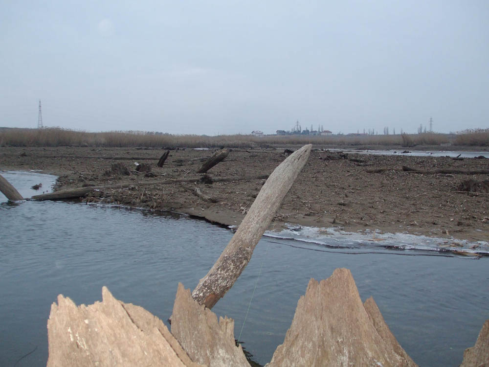 TANCABESTI SECAT - DSCF3465.jpg